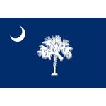 South Carolina Flag: