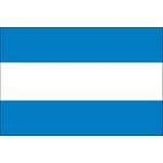 3ft. x 5ft. Argentina Flag No Seal for Parades & Display