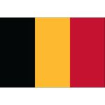 2 ft. x 3 ft. Belgium Flag for Indoor Display