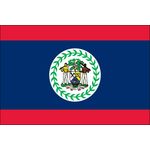 2 ft. x 3 ft. Belize Flag for Indoor Display