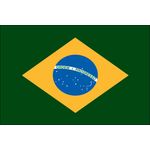 3ft. x 5ft. Brazil Flag for Parades & Display