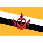 4ft. x 6ft. Brunei Flag for Parades & Display