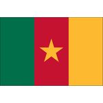 2ft. x 3ft. Cameroon Flag for Indoor Display