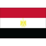 2ft. x 3ft. Egypt Flag for Indoor Display
