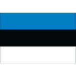 2ft. x 3ft. Estonia Flag for Indoor Display