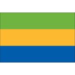 4ft. x 6ft. Gabon Flag for Parades & Display