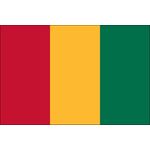 4ft. x 6ft. Guinea Flag for Parades & Display