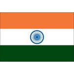2ft. x 3ft. India Flag for Indoor Display