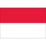 4ft. x 6ft. Indonesia Flag for Parades & Display
