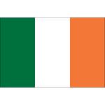 2ft. x 3ft. Ireland Flag for Indoor Display