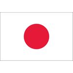 2ft. x 3ft. Japan Flag for Indoor Display