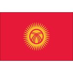 3ft. x 5ft. Kyrgyzstan Flag for Parades & Display