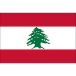 3ft. x 5ft. Lebanon Flag for Parades & Display