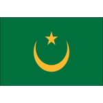 2ft. x 3ft. Mauritania Flag for Indoor Display