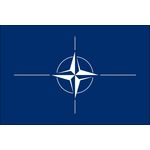 4ft. x 6ft. Flag NATO Sewn Indoor Display with Fringe