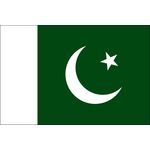 3ft. x 5ft. Pakistan Flag for Parades & Display