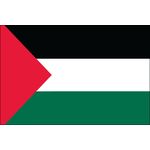 3ft. x 5ft. Palestine Flag for Parades & Display