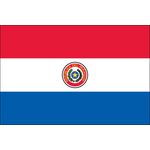 2ft. x 3ft. Paraguay Flag Indoor Display