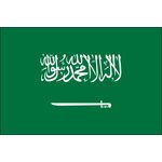 2ft. x 3ft. Saudi Arabia Flag for Indoor Display