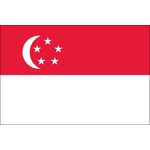4ft. x 6ft. Singapore Flag for Parades & Display