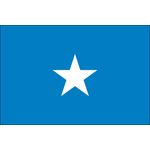2ft. x 3ft. Somalia Flag for Indoor Display
