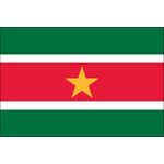 4ft. x 6ft. Suriname Flag for Parades & Display
