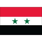 4ft. x 6ft. Syria Flag for Parades & Display
