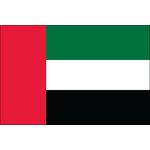 United Arab Emirate Flag