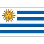 4ft. x 6ft. Uruguay Flag for Parades & Display