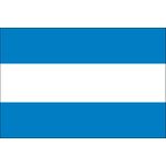 The Flag of Argentina Civil