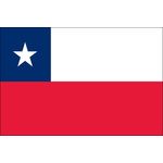 3ft. x 5ft. Chile Flag for Parades & Display