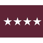 4ft. x 6ft. US Army Medical 4 Star General Flag for Indoor Displaying