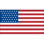 3 x 5 ft. 43 Star U.S. Flag