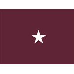 4ft. x 6ft. Army Medical 1 Star General Flag for Indoor Displaying