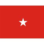 2ft. x 3ft. Army 1 Star General Flag w/Grommets