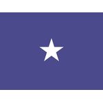 3ft. x 4ft. Air Force 1 Star General Flag w/Grommets