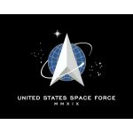 4 in. x 6 in. U.S. Space Force Flag Mounted on a Staff