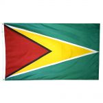 Size 7 Guyana Flag with Brass Grommets