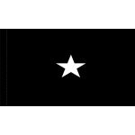 3ft. x 4ft. Space Force 1 Star General Flag w/ Lined Pole Sleeve