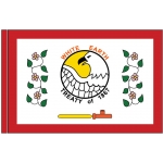 2ft. x 3ft. White Earth Nation Flag with Pole Sleeve