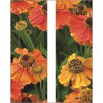 30 x 84 in. Seasonal Banner Orange Poppies-Double Sided Design