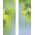 30 x 96 in. Seasonal Banner Summer Leaves & Raindrops-Double Sided