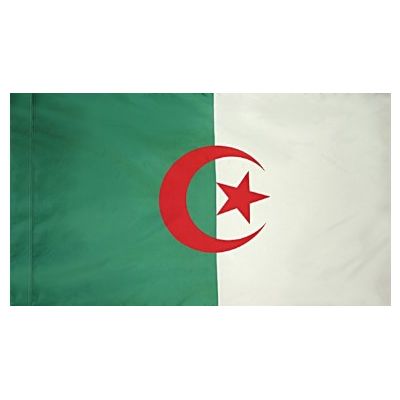 3 ft. x 5 ft. Algeria Flag for Parades & Display