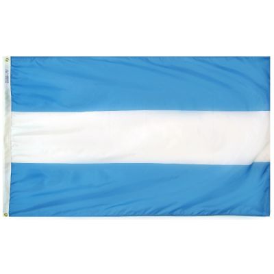 4ft. x 6ft. Argentina Flag No Seal with Brass Grommets
