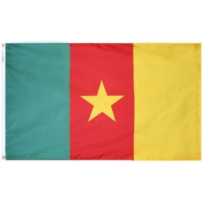 2ft. x 3ft. Cameroon Flag with Canvas Header