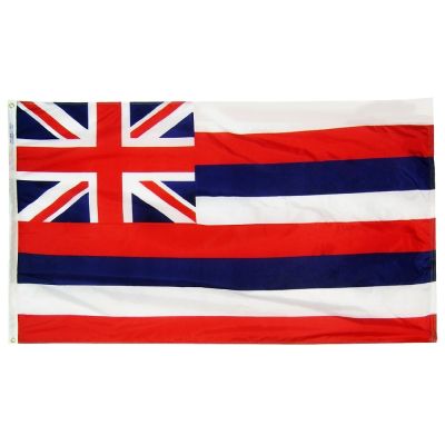 5ft. x 8ft. Hawaii Flag with Brass Grommets