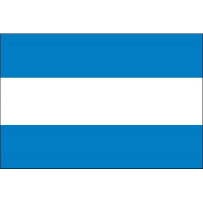 2ft. x 3ft. Argentina Flag No Seal for Indoor Display