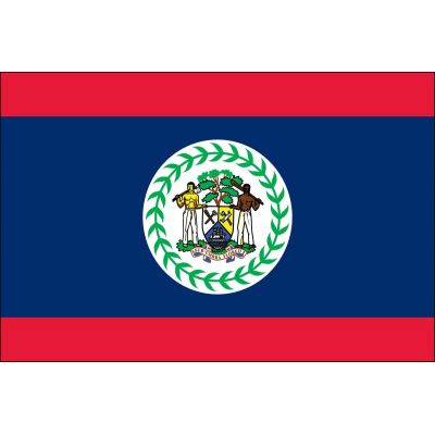 4ft. x 6ft. Belize Flag for Parades & Display