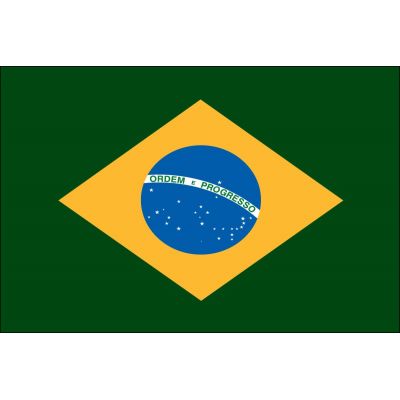 2ft. x 3ft. Brazil Flag for Indoor Display