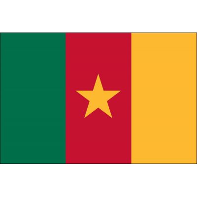 3ft. x 5ft. Cameroon Flag for Parades & Display